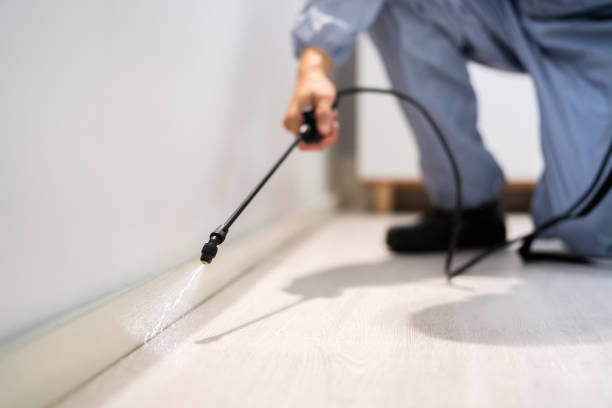 Professional exterminator conducting IPM assessment in Berwyn